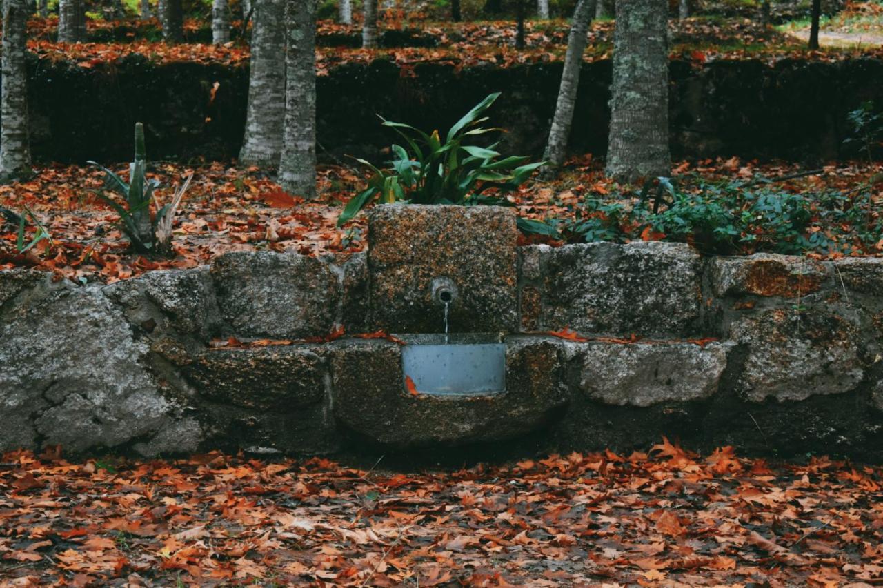 Quinta Das Fontes - Alojamento Rustico Local E Turismo Rural Sao Pedro do Sul Exterior photo