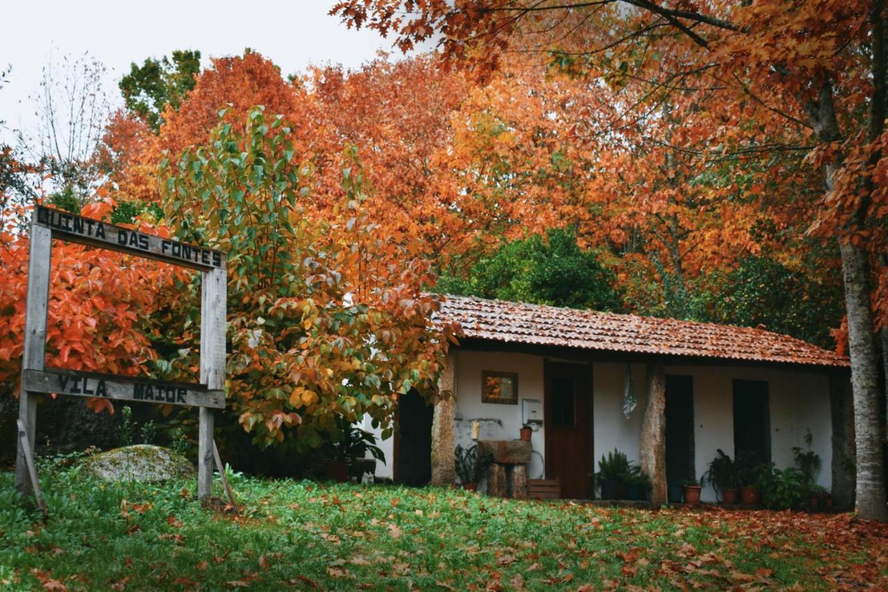Quinta Das Fontes - Alojamento Rustico Local E Turismo Rural Sao Pedro do Sul Exterior photo