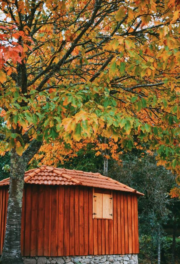 Quinta Das Fontes - Alojamento Rustico Local E Turismo Rural Sao Pedro do Sul Exterior photo