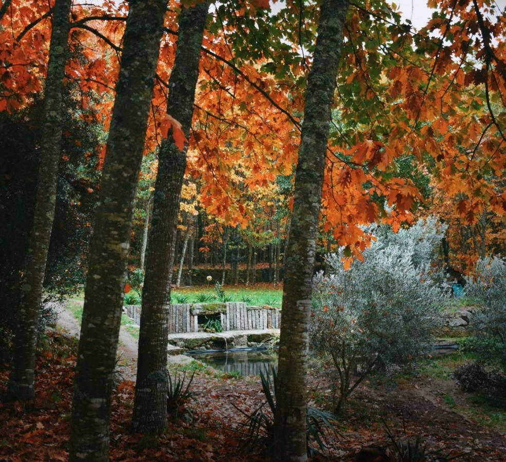 Quinta Das Fontes - Alojamento Rustico Local E Turismo Rural Sao Pedro do Sul Exterior photo