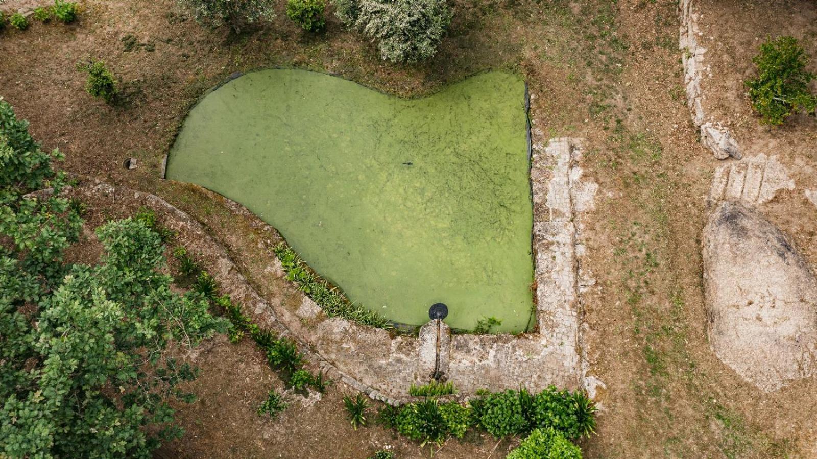 Quinta Das Fontes - Alojamento Rustico Local E Turismo Rural Sao Pedro do Sul Exterior photo
