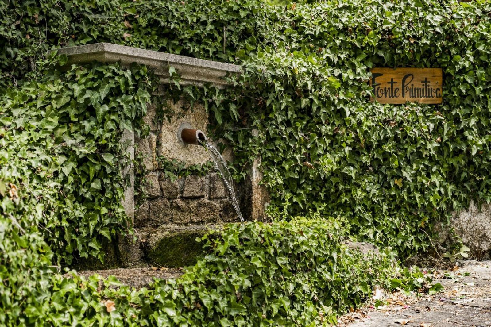 Quinta Das Fontes - Alojamento Rustico Local E Turismo Rural Sao Pedro do Sul Exterior photo